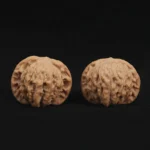 Red Bean Style Lion Head Walnut