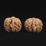 Red Bean Style Lion Head Walnut - Image 5