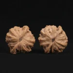 Red Bean Style Lion Head Walnut - Image 2