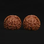 Qin Gongzi Walnut - Image 5