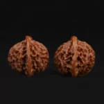 Qin Gongzi Walnut - Image 2