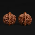 Qin Gongzi Walnut - Image 3