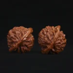 Qin Gongzi Walnut - Image 4