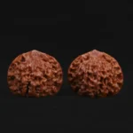 Official Hat Walnut