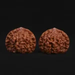 Official Hat Walnut - Image 2