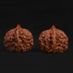 Official Hat Walnut - Image 3