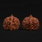 Official Hat Walnut - Image 4