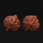 Official Hat Walnut - Image 5