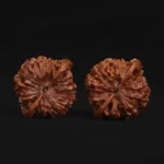 Official Hat Walnut - Image 6