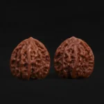Buddha Belly - Image 2