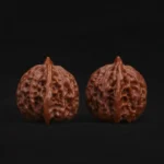 Buddha Belly - Image 3