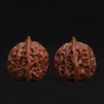 Buddha Belly - Image 4