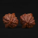 Buddha Belly - Image 5