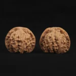 Qin Gongzi Walnut