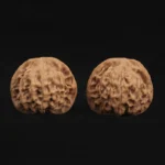 Qin Gongzi Walnut - Image 4