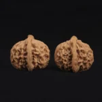 Qin Gongzi Walnut - Image 5