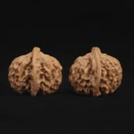 Qin Gongzi Walnut - Image 6