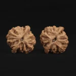Qin Gongzi Walnut - Image 2
