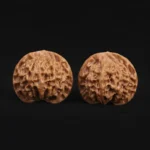Qin Gongzi Walnut