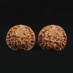 Qin Gongzi Walnut - Image 3