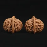 Qin Gongzi Walnut - Image 5
