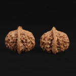 Qin Gongzi Walnut - Image 6