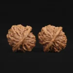 Qin Gongzi Walnut - Image 2