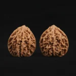 Scholar Crown Walnut