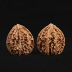 Scholar Crown Walnut - Image 2