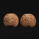 Ximan Zhao Nanjiang Stone Walnut