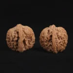 Ximan Zhao Nanjiang Stone Walnut - Image 6