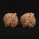 Ximan Zhao Nanjiang Stone Walnut - Image 2