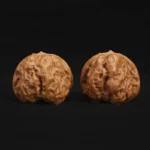 Toad Head - Image 6