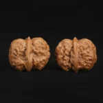 Toad Head - Image 7