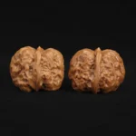 Toad Head - Image 2
