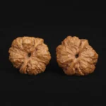 Toad Head - Image 4