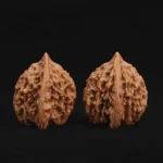 Exquisite Pagoda Walnut - Image 7