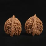 Exquisite Pagoda Walnut - Image 2