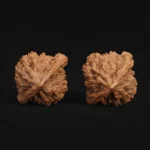 Exquisite Pagoda Walnut - Image 4