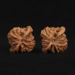 Exquisite Pagoda Walnut - Image 6