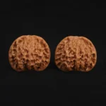 Qin Gongzi Walnut - Image 2