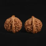 Qin Gongzi Walnut - Image 3