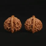 Qin Gongzi Walnut - Image 4