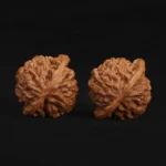 Qin Gongzi Walnut - Image 5