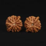 Qin Gongzi Walnut - Image 6