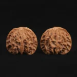 Orange Peel Apple Orchard Walnut