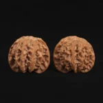 Orange Peel Apple Orchard Walnut - Image 2