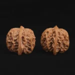 Orange Peel Apple Orchard Walnut - Image 6