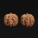 Orange Peel Apple Orchard Walnut - Image 5
