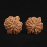 Orange Peel Apple Orchard Walnut - Image 4